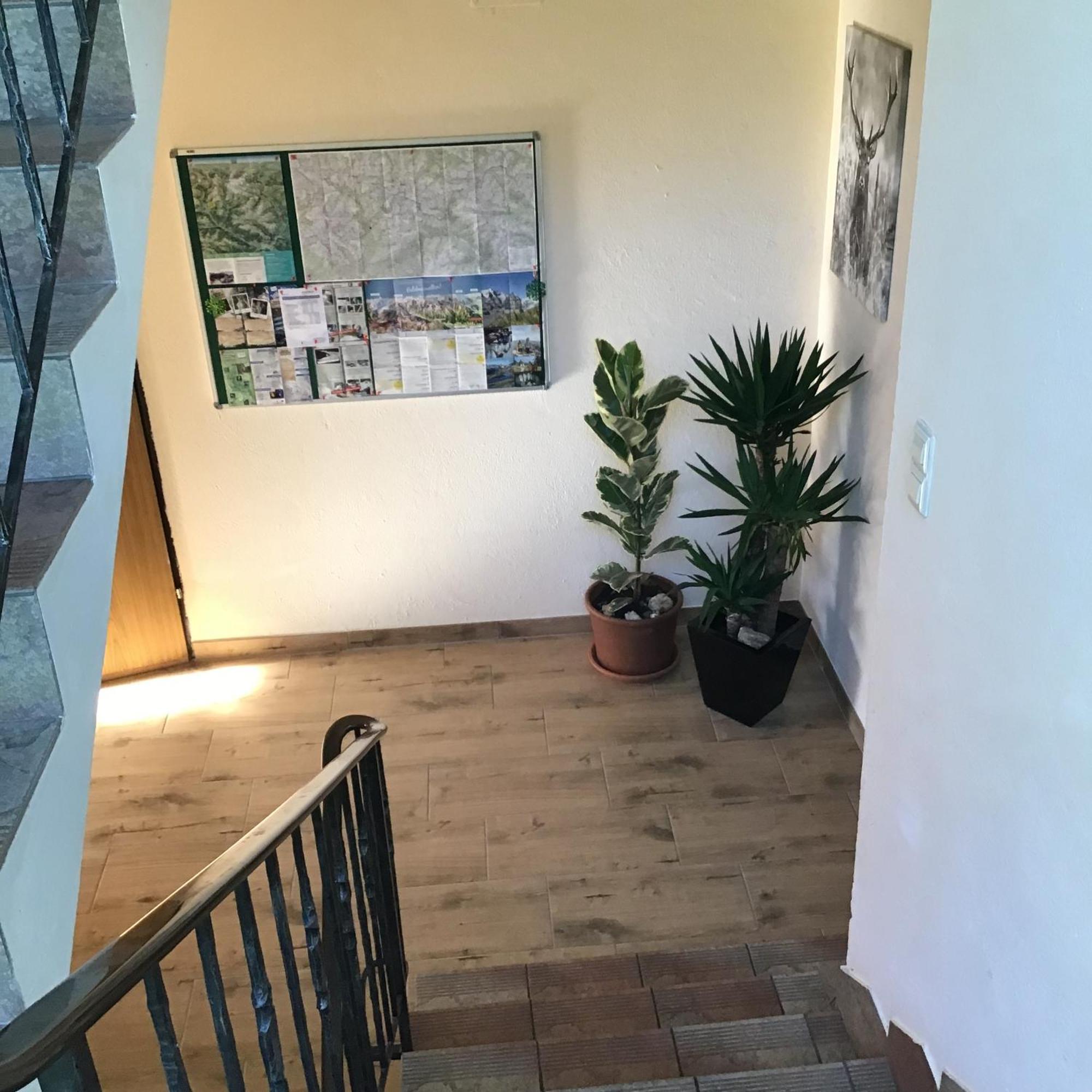 Guesthouse Mountain View Гроскирххайм Экстерьер фото